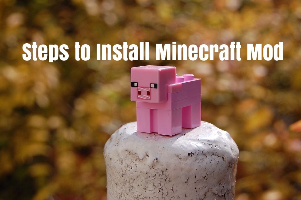 How To Install Minecraft Mods 7 Steps To Install Mod To Your Game For Better Experience Seekahost