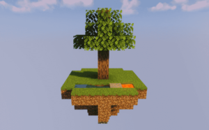 How to Make a Skyblock Server