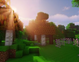 Best Minecraft Game Servers