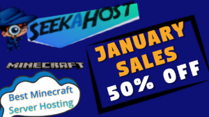 january sales minecraft server