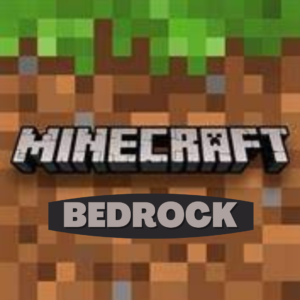 bedrock-minecraft-server-host