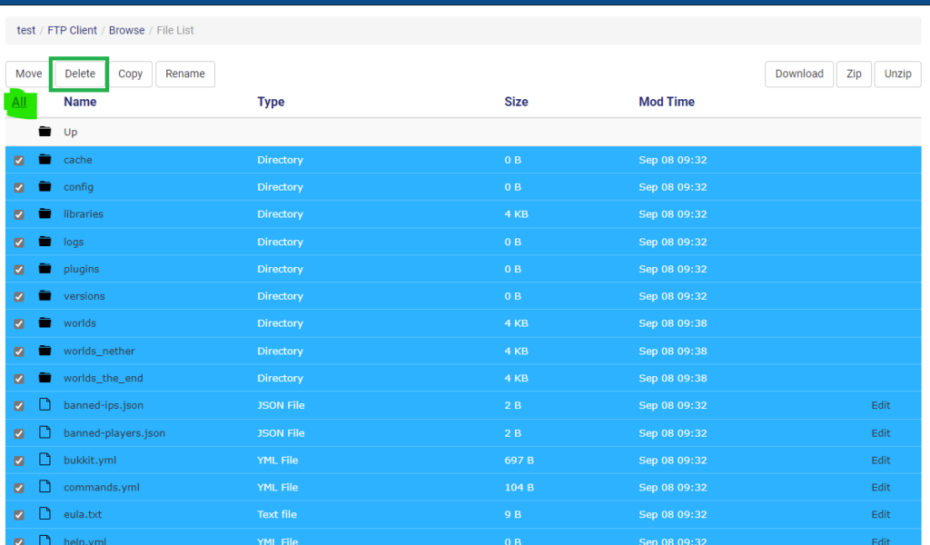 delete all server files minecraft