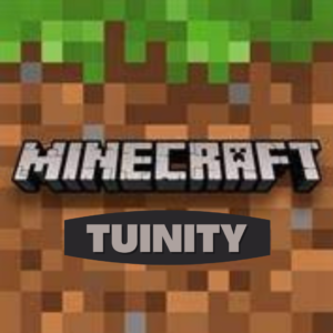 tuinity-minecraft-server-hosting