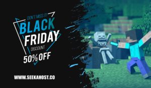 black friday minecraft offer